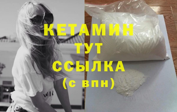 гидра Абаза