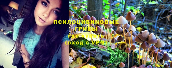 МДПВ Коряжма