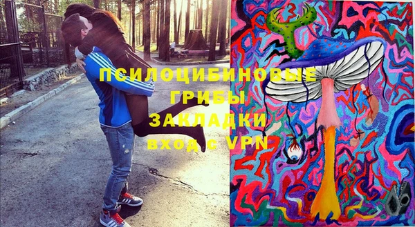 амф Алзамай